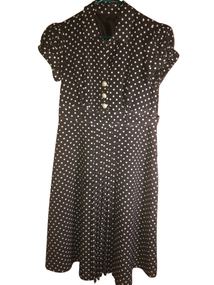 vintage small brown polka dot dress